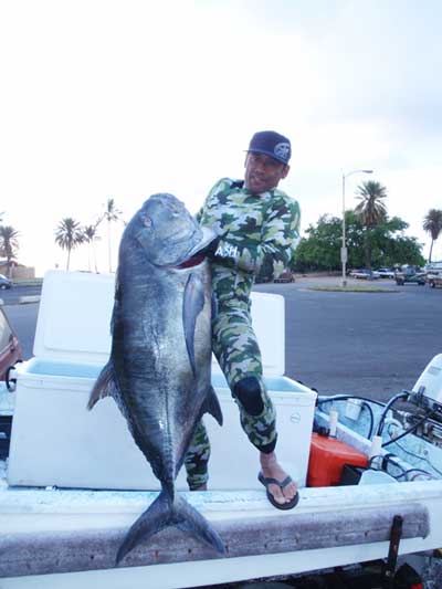 Hanarei / ???? HTK-200 ???????? ???????????? ??: ????