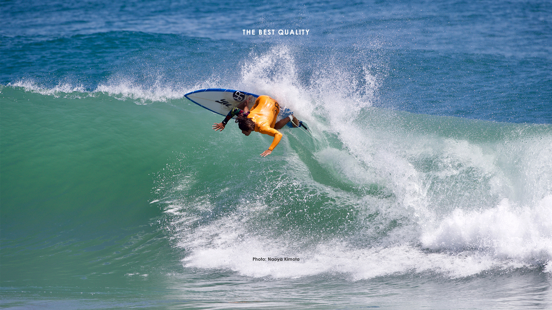 Rash セミドライ ACE-C ACE-C